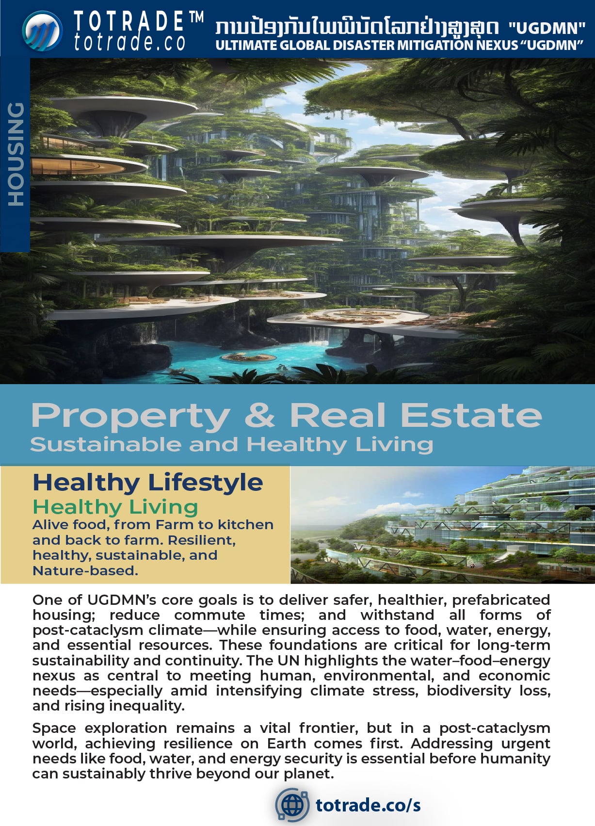 Global Housing Crisis