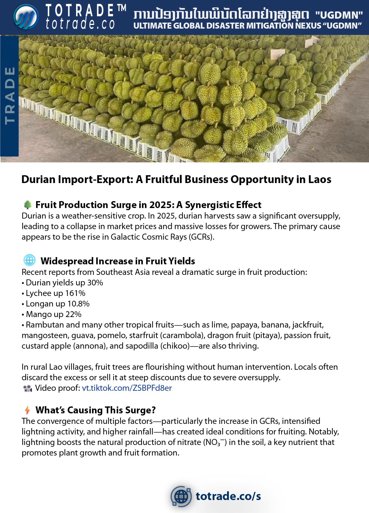 Trade Activities