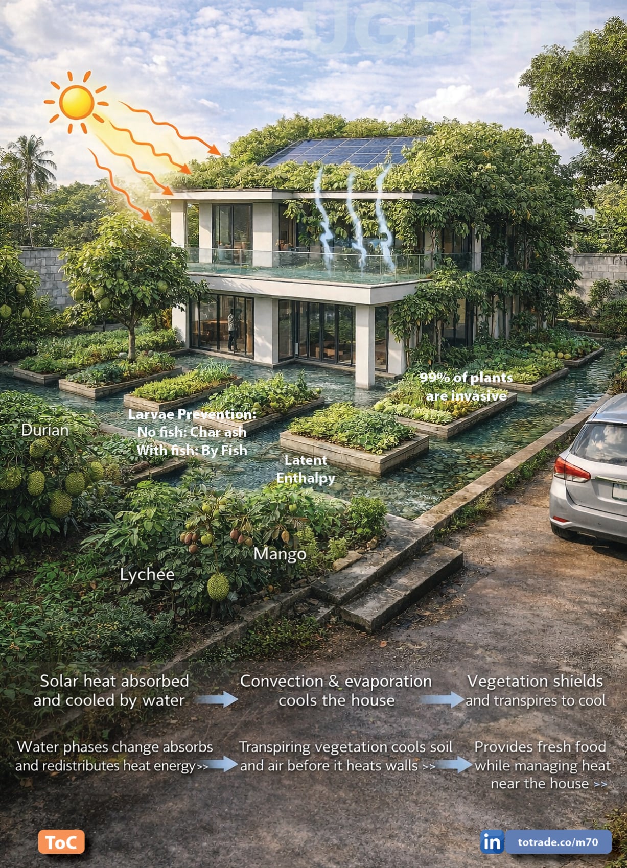 Global Housing Crisis