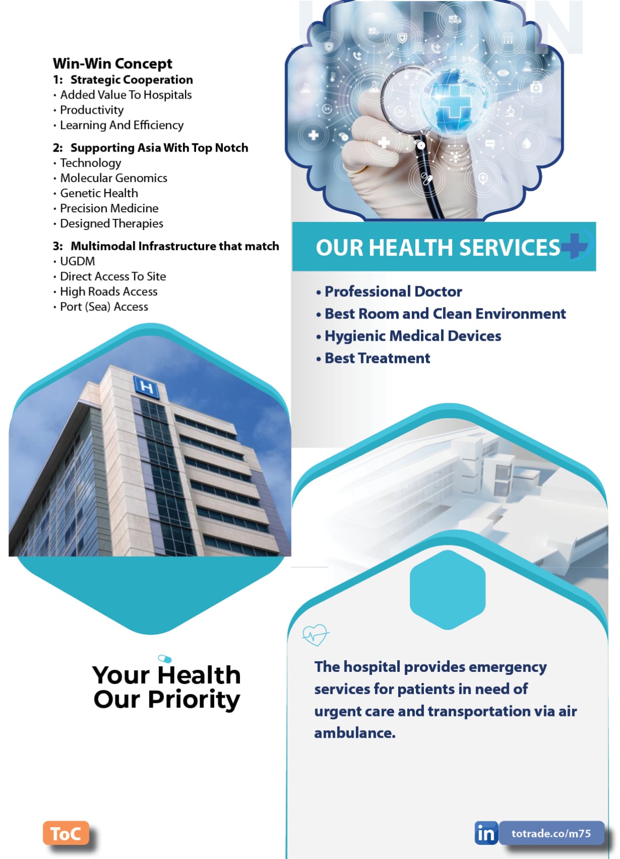 Global Housing Crisis and Solution