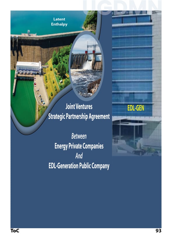 Electricity: Public/Private Partnership